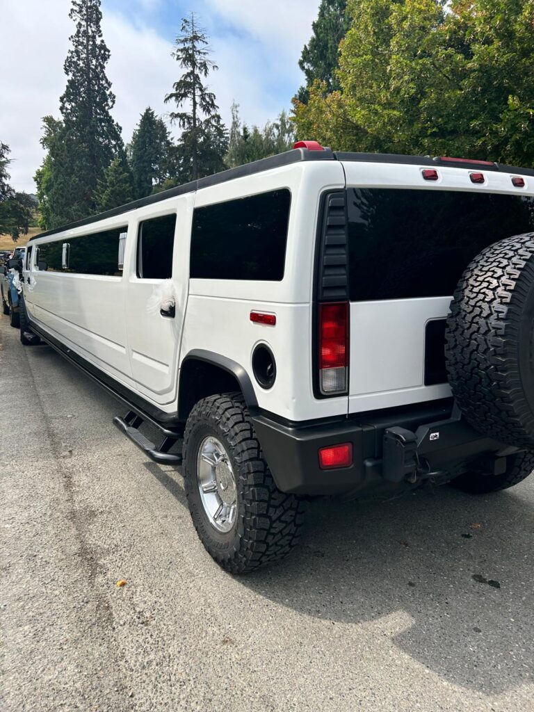 Sammylimo3000